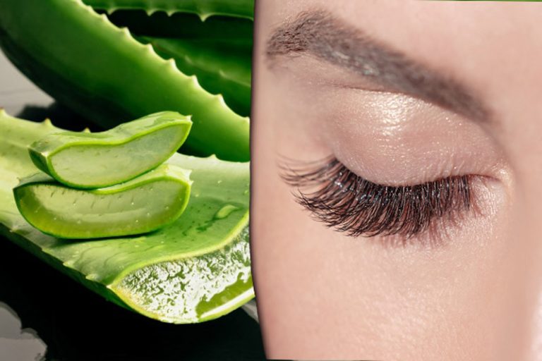 Pestañas más largas y gruesas con aloe vera 1 Pestañas más largas y gruesas con aloe vera
