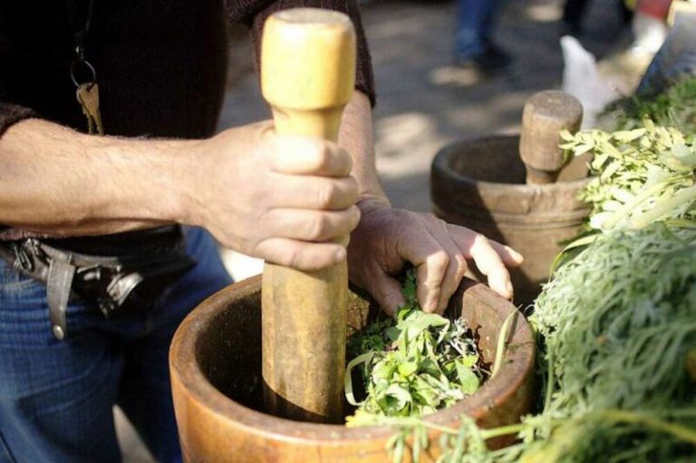 Capacitan a los médicos tradicionales de Bolivia en el uso de plantas medicinales contra el COVID-19 6 Capacitan a los médicos tradicionales de Bolivia en el uso de plantas medicinales contra el COVID-19