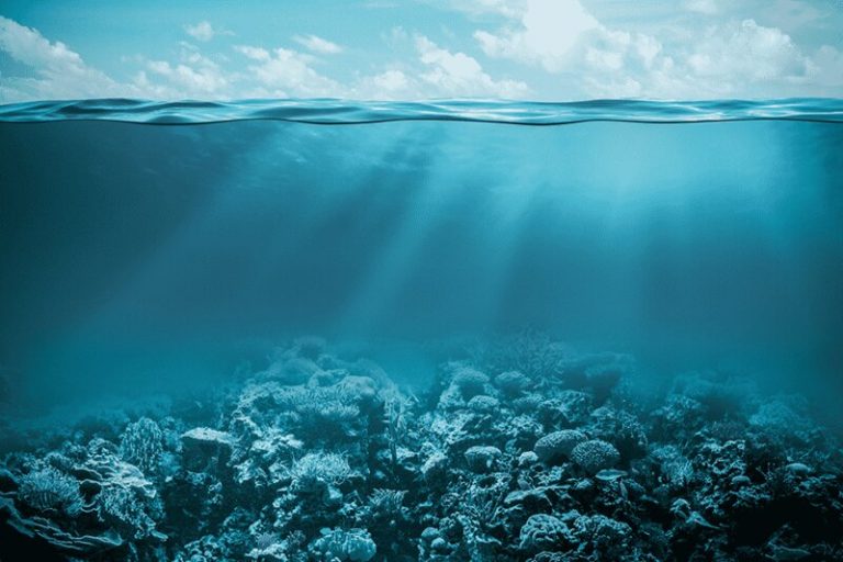 ¿Por qué gran parte de los océanos permanecen sin explorar? 8 ¿Por qué gran parte de los océanos permanecen sin explorar?