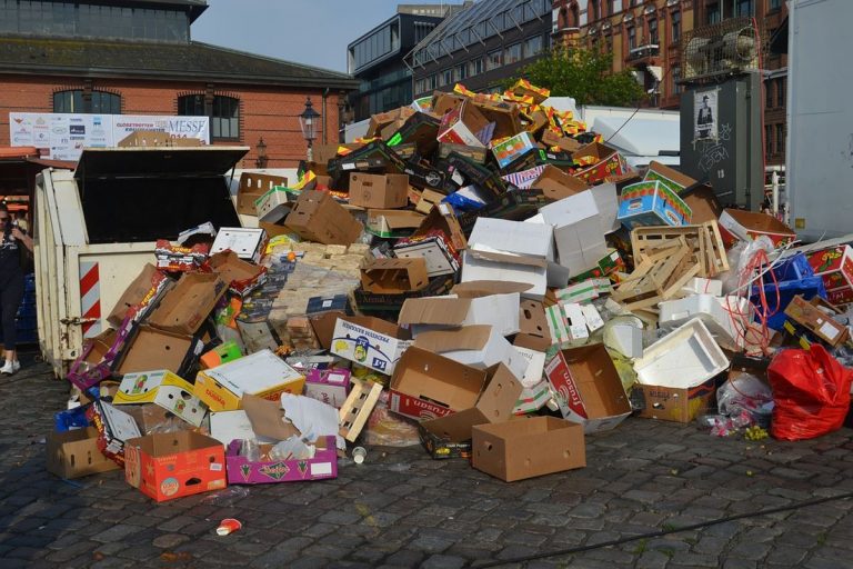 Las compras en línea han trasladado las responsabilidades de reciclaje a los consumidores 5 Las compras en línea han trasladado las responsabilidades de reciclaje a los consumidores