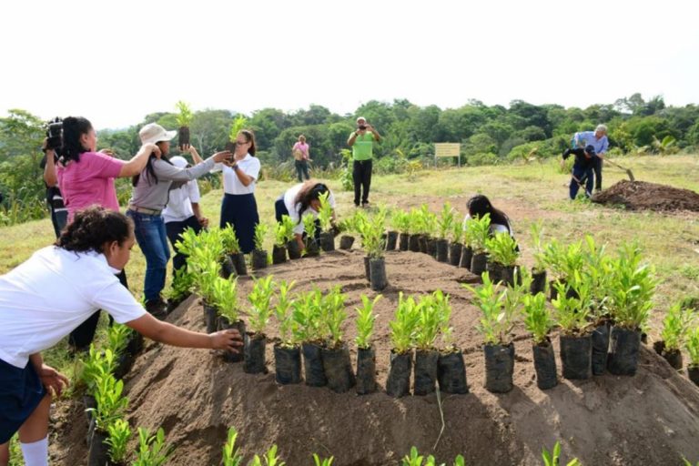Biodesarrollo: una propuesta alternativa emergente 4 Biodesarrollo: una propuesta alternativa emergente