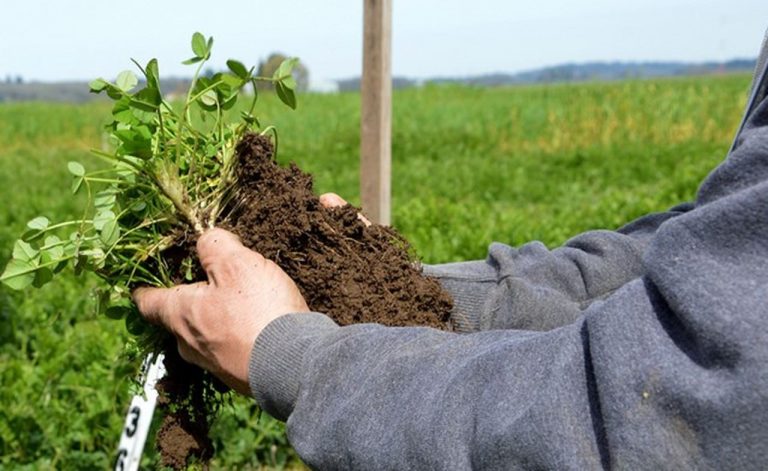 ¿Qué es la agricultura regenerativa? 9 ¿Qué es la agricultura regenerativa?