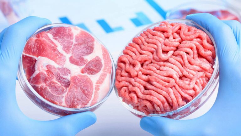 Bill Gates: los países ricos deberían comer solo carne sintética para combatir el cambio climático 8 Bill Gates: los países ricos deberían comer solo carne sintética para combatir el cambio climático