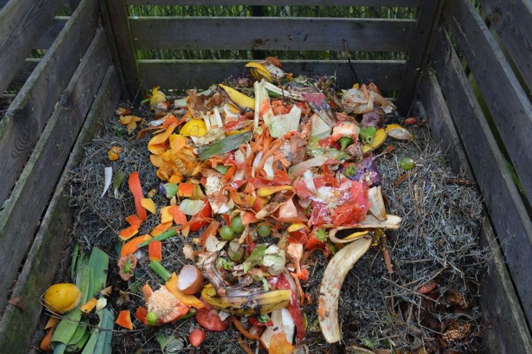 Biodegradable versus compostable: ¿Cuál es la diferencia? 4 Biodegradable versus compostable: ¿Cuál es la diferencia?