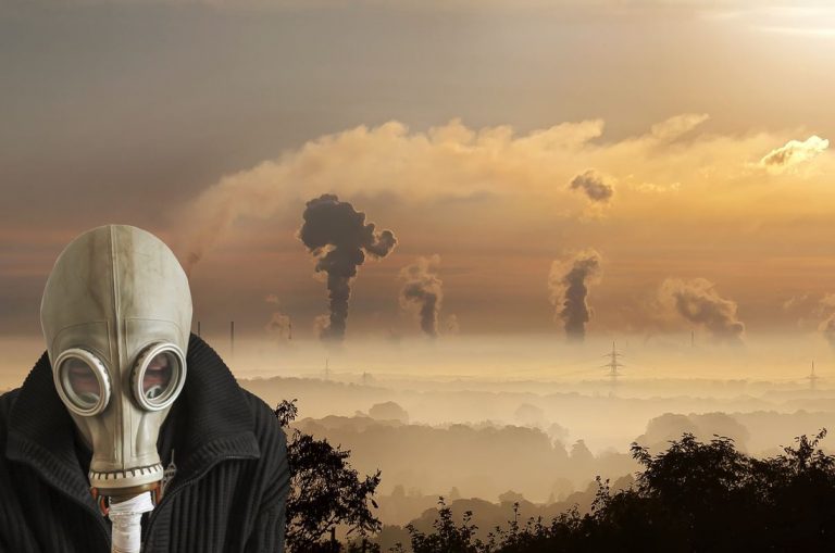Los combustibles fósiles matan cada año 4 veces más personas que la pandemia 8 Los combustibles fósiles matan cada año 4 veces más personas que la pandemia