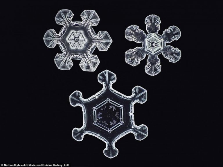 Belleza: estructura de un copo de nieve al detalle 8 Belleza: estructura de un copo de nieve al detalle