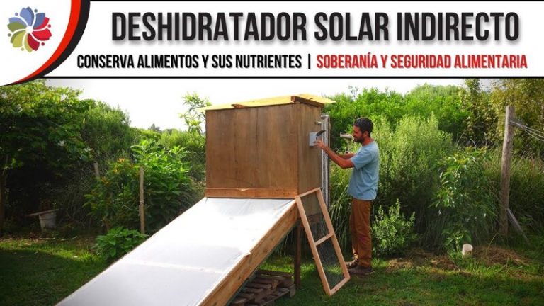 Conserva tus alimentos - Deshidratador solar con termostato 8 Conserva tus alimentos – Deshidratador solar con termostato