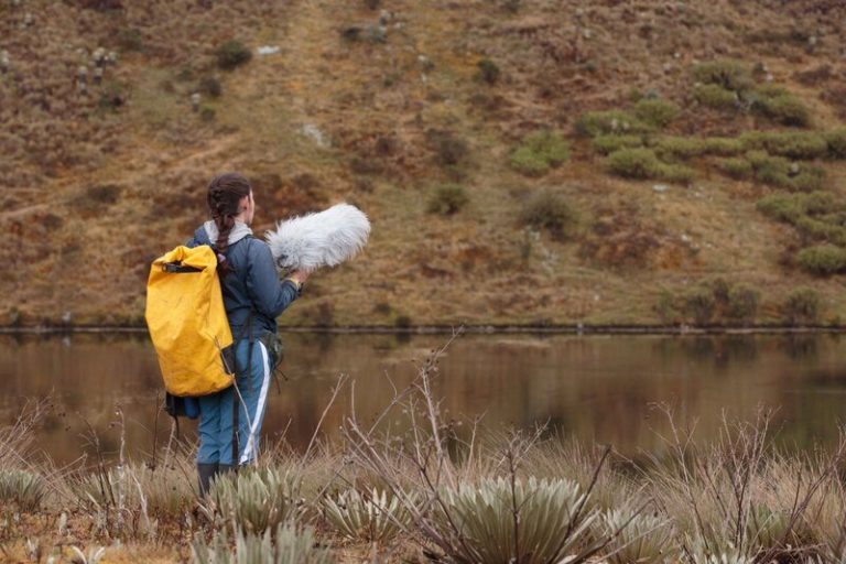 La bióloga que quiere defender los bosques a través de sus sonidos 1 La bióloga que quiere defender los bosques a través de sus sonidos