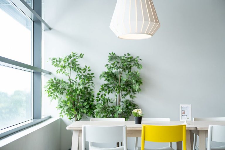 6 consejos para ser más respetuoso con el medio ambiente en el hogar