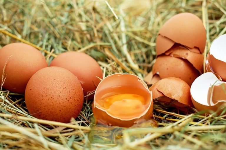 El huevo: los falsos mitos del alimento más sano y completo 5 El huevo: los falsos mitos del alimento más sano y completo
