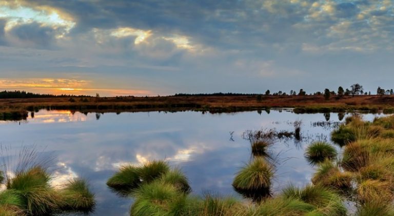 Ramsar 50 años después 10 Ramsar 50 años después
