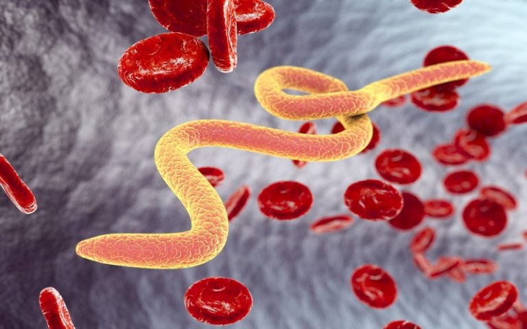 Parasitosis: Arsenal natural contra los efectos del azúcar, harinas y dulces