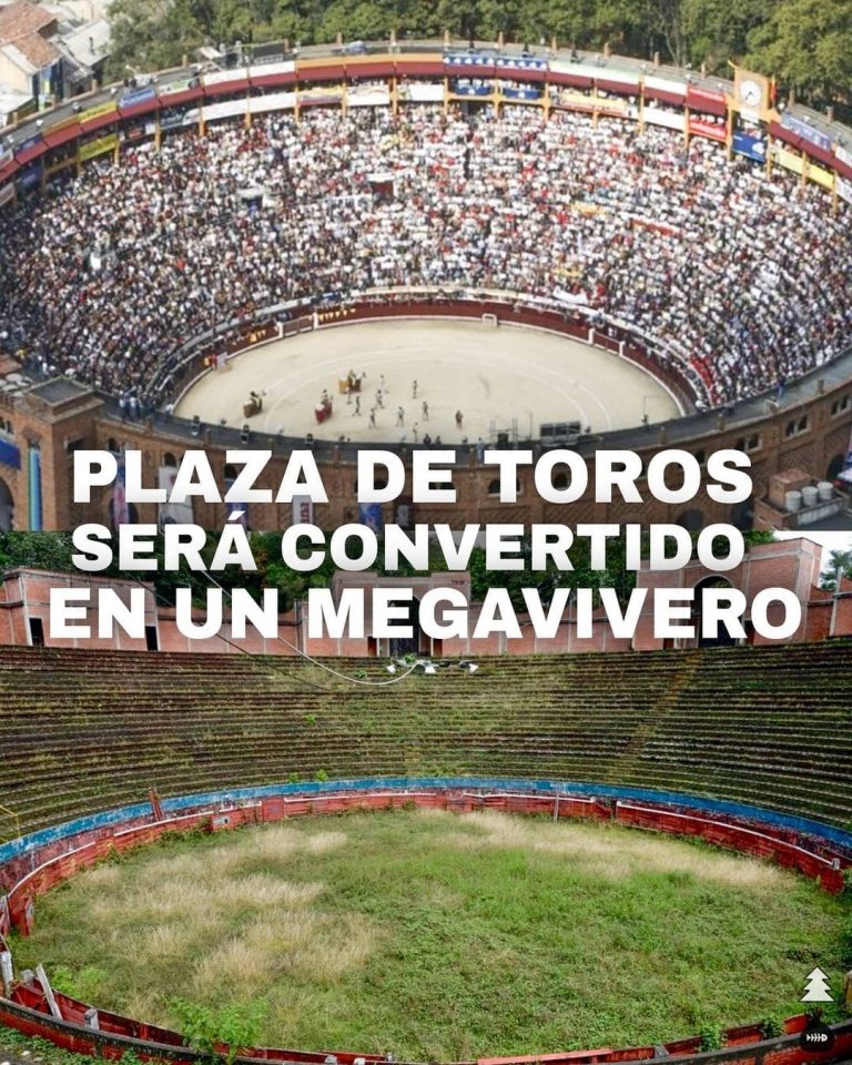 De plaza de toros a ¡Megavivero! 8 De plaza de toros a ¡Megavivero!