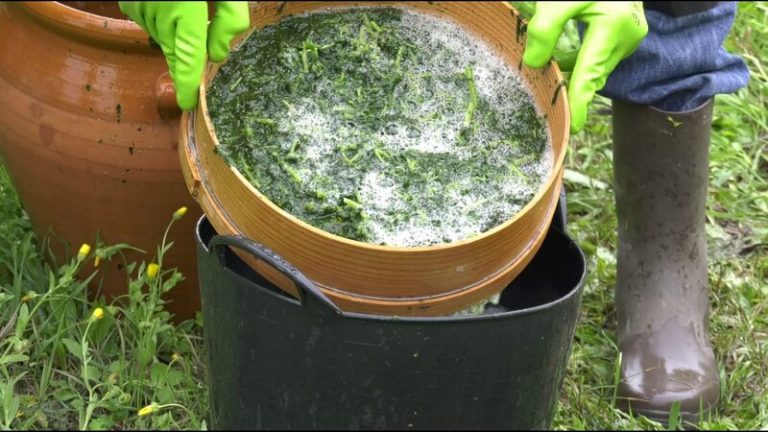 Los mejores fertilizantes naturales para la huerta y el jardín 5 Los mejores fertilizantes naturales para la huerta y el jardín