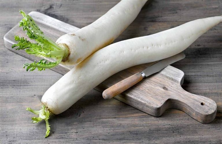 7 raíces nutritivas que seguro no conocías 8 7 raíces nutritivas que seguro no conocías
