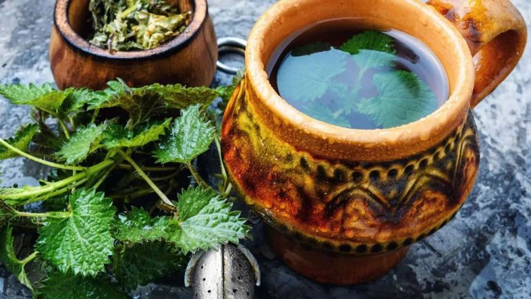 Té de ortiga: 10 razones para tomar una taza todos los días 4 Té de ortiga: 10 razones para tomar una taza todos los días