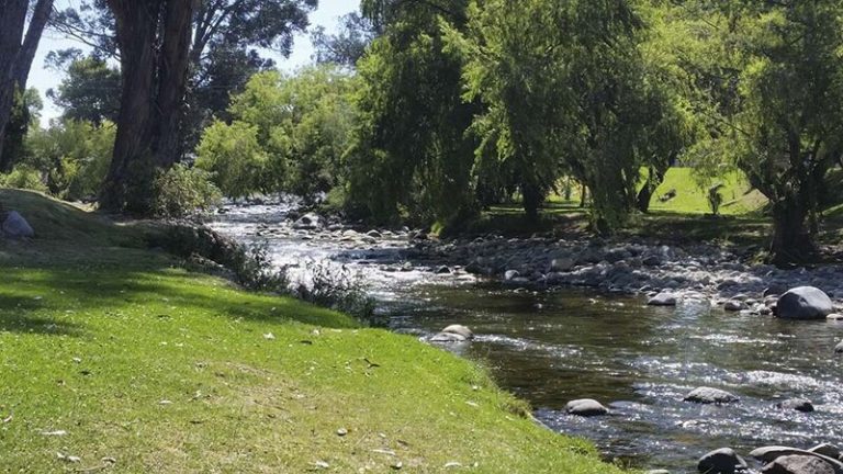 Cuenca eligió el agua, la diversidad y la vida por sobre la minería