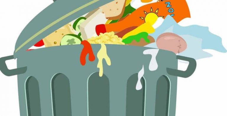 El desperdicio masivo de alimentos, un problema no solo de los países ricos 9 El desperdicio masivo de alimentos, un problema no solo de los países ricos