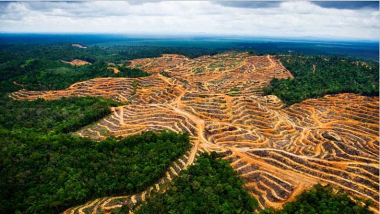 La producción de alimentos es la principal causa de pérdida de biodiversidad 8 La producción de alimentos es la principal causa de pérdida de biodiversidad