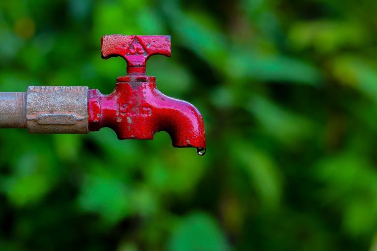 ¿Cómo puedes ahorrar agua en casa? 2 ¿Cómo puedes ahorrar agua en casa?