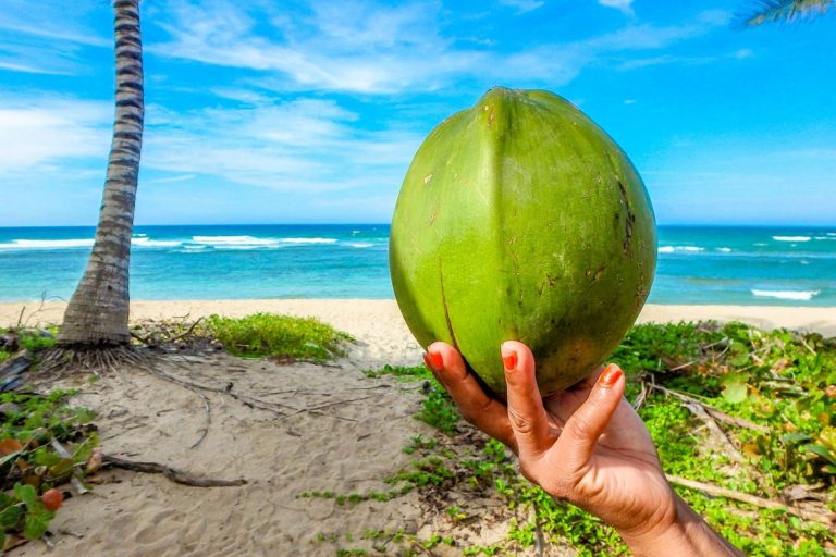 Agua de coco tiene 15 veces más potasio que el Gatorade 6 Agua de coco tiene 15 veces más potasio que el Gatorade