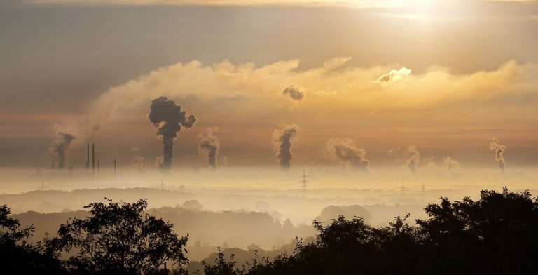 La contaminación y su relación sobre la salud de la piel y el cabello 4 La contaminación y su relación sobre la salud de la piel y el cabello