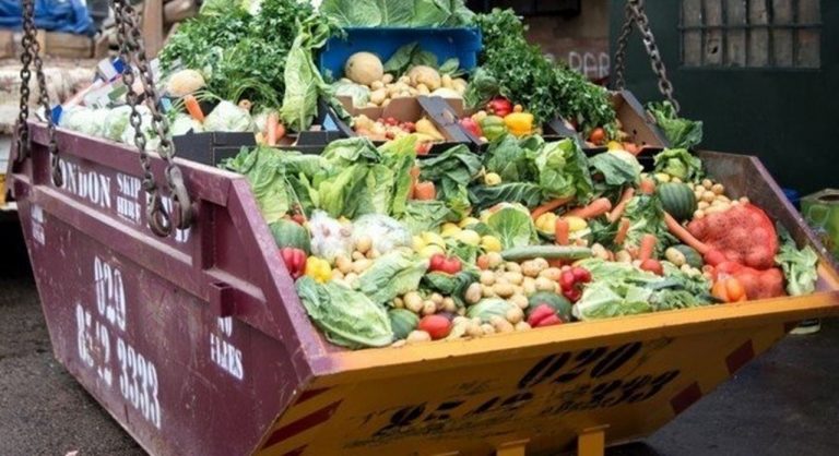 ONU: Cada año se desperdician mil millones de toneladas de comida 5 ONU: Cada año se desperdician mil millones de toneladas de comida