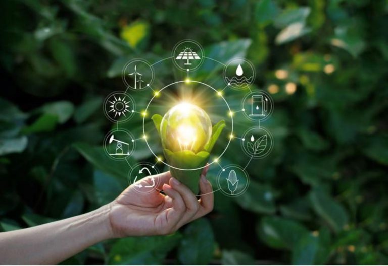 Las empresas miran la cadena de suministro para ser sustentables 4 Las empresas miran la cadena de suministro para ser sustentables