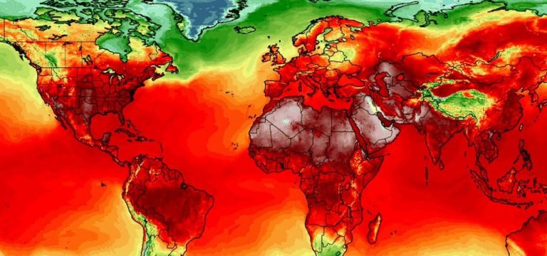 Los bosques de Europa, amenazados por un clima devastador 9 Los bosques de Europa, amenazados por un clima devastador