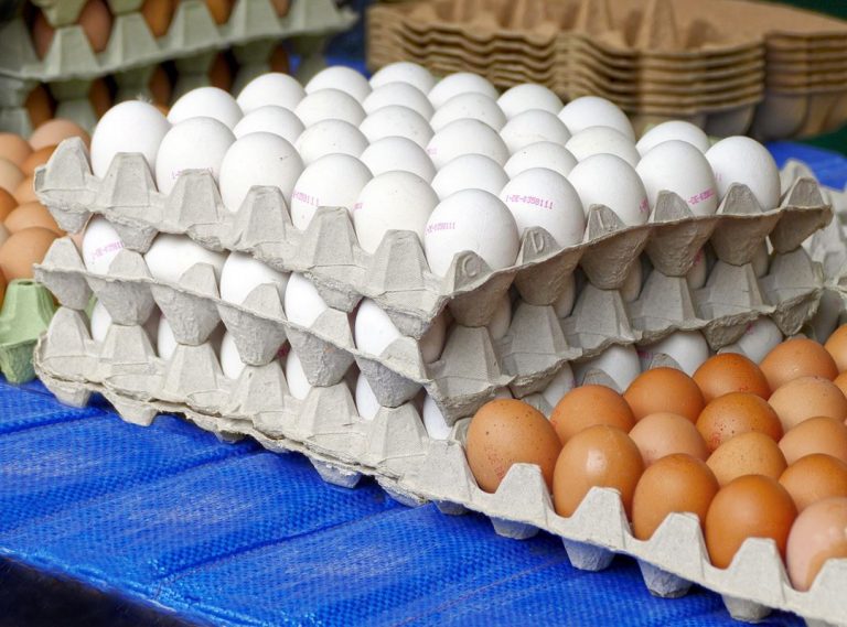 ¿Son reciclables los cartones de huevos?