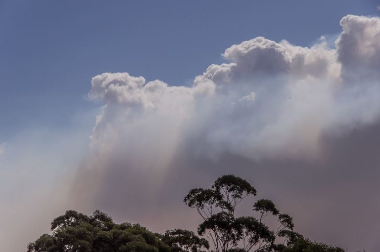 El humo de los incendios forestales de Australia, dió la vuelta al mundo 7 El humo de los incendios forestales de Australia, dió la vuelta al mundo