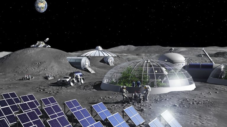Un arca en la Luna, para salvar la biodiversidad de la Tierra 3 Un arca en la Luna, para salvar la biodiversidad de la Tierra