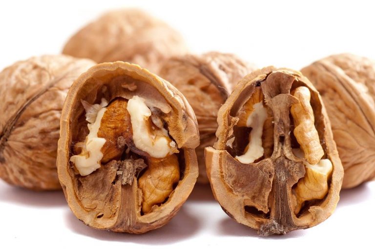 Descubra 7 fuentes vegetales de omega 3 9 Descubra 7 fuentes vegetales de omega 3