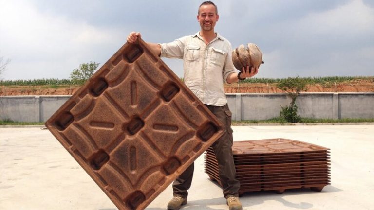 Pallets de cáscara de coco para salvar 200 millones de árboles 3 Pallets de cáscara de coco para salvar 200 millones de árboles