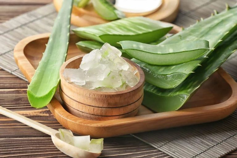 El Aloe Vera estimula el sistema inmunológico. Principales beneficios 9 El Aloe Vera estimula el sistema inmunológico. Principales beneficios