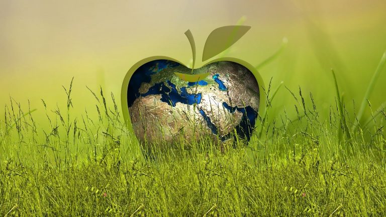 Apple lanza un fondo de $200 millones para proyectos forestales 3 Apple lanza un fondo de $200 millones para proyectos forestales