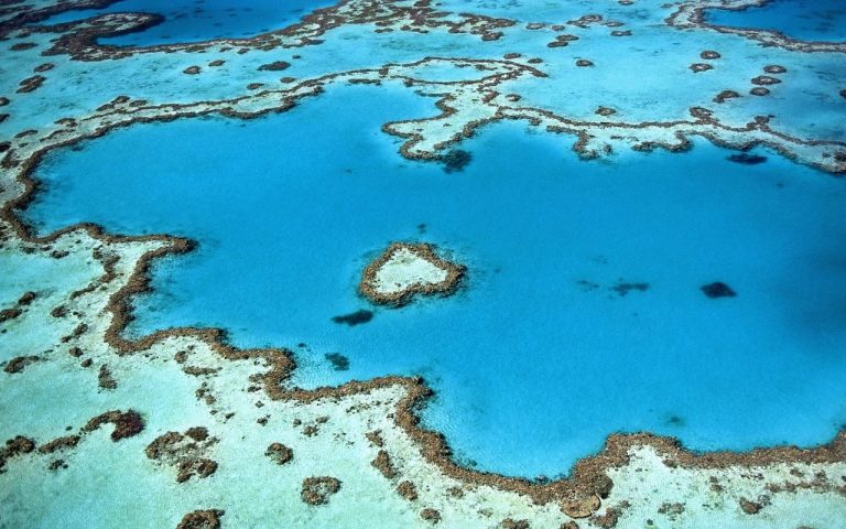 ¿Por qué EE.UU. valúa sus arrecifes de coral en $ 1.8 mil millones al año? 1 ¿Por qué EE.UU. valúa sus arrecifes de coral en $ 1.8 mil millones al año?