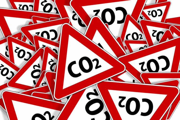 El desafío que enfrenta el secuestro de carbono 6 El desafío que enfrenta el secuestro de carbono