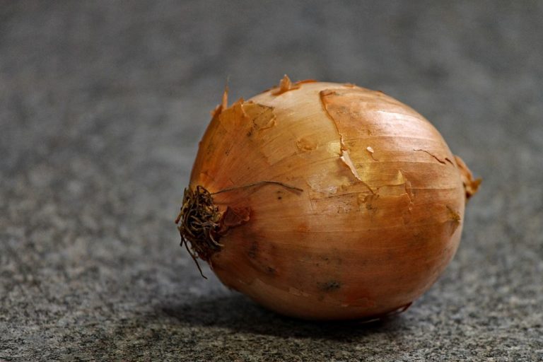 Té de cáscara de cebolla mejora la piel y el cabello 10 Té de cáscara de cebolla mejora la piel y el cabello