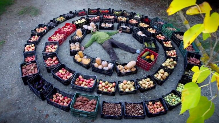 Cambio permanente - Permacultura: hacia una cultura de paz 8 Cambio permanente – Permacultura: hacia una cultura de paz
