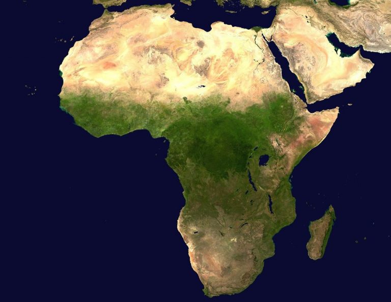 Las selvas tropicales de África, soportan mejor el calor que la Amazonia 5 Las selvas tropicales de África, soportan mejor el calor que la Amazonia