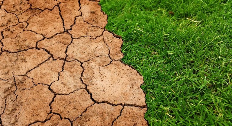 Suministro mundial de alimentos, en riesgo por la Crisis del clima 2 Suministro mundial de alimentos, en riesgo por la Crisis del clima