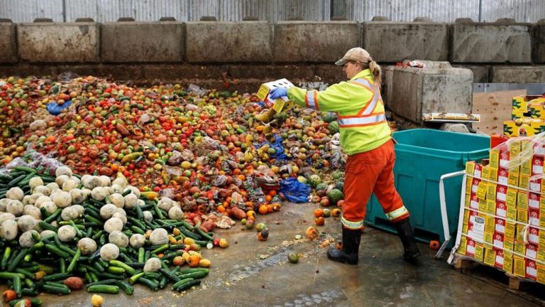 Cómo los supermercados podrían reducir el desperdicio de alimentos 1 Cómo los supermercados podrían reducir el desperdicio de alimentos