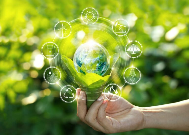Todos los instrumentos de la economía verde obedecen a la misma lógica perversa de financierización