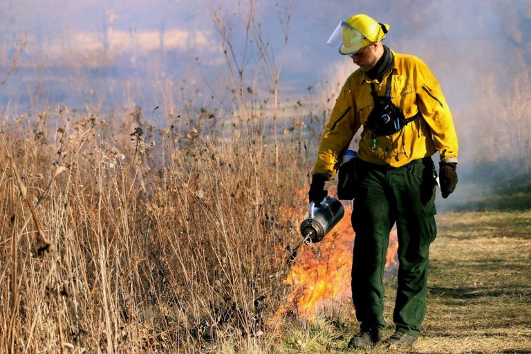 Incendios controlados: una solución con peligros 6 Incendios controlados: una solución con peligros