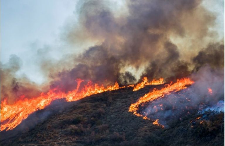 Incendios ‘zombis’ despiertan en los bosques boreales 8 Incendios ‘zombis’ despiertan en los bosques boreales