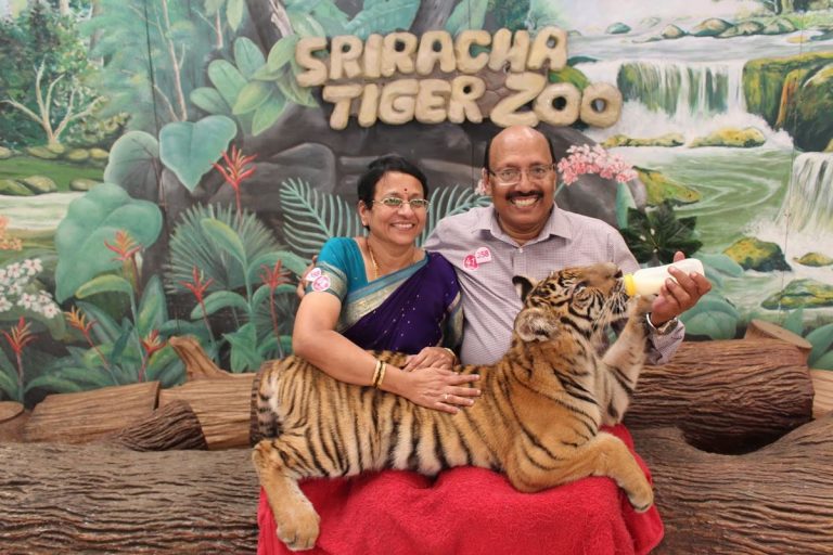 Un famoso zoológico de tigres tailandeses cierra para siempre