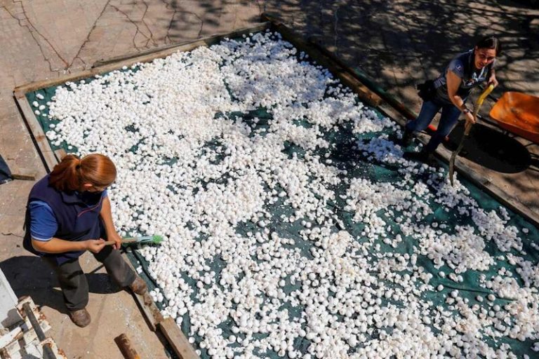 Cáscaras de huevos para limpiar ríos contaminados