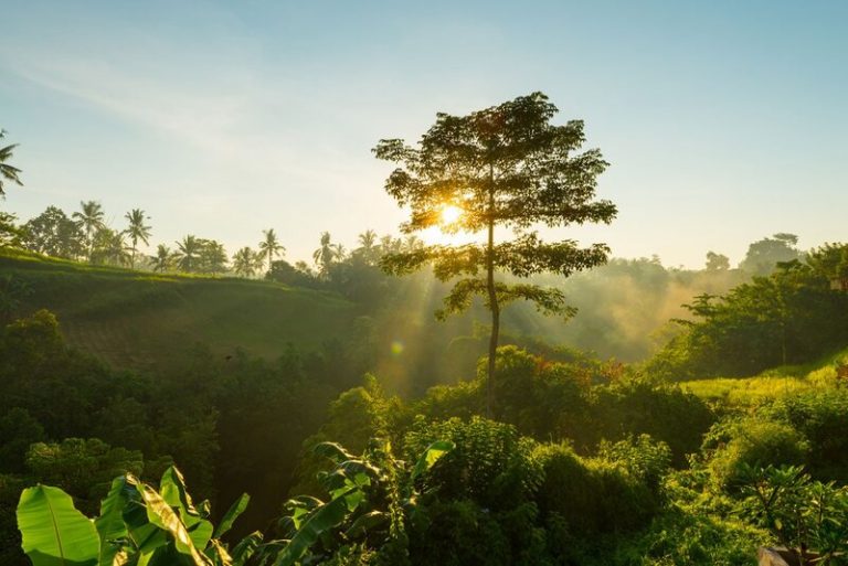 Caminos hacia la cultura del Buen Vivir 10 Caminos hacia la cultura del Buen Vivir
