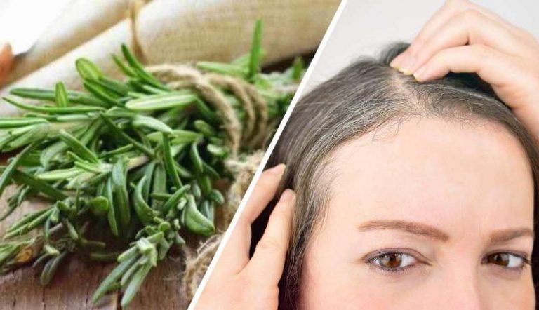 Tinte natural con romero para tus canas 8 Tinte natural con romero para tus canas